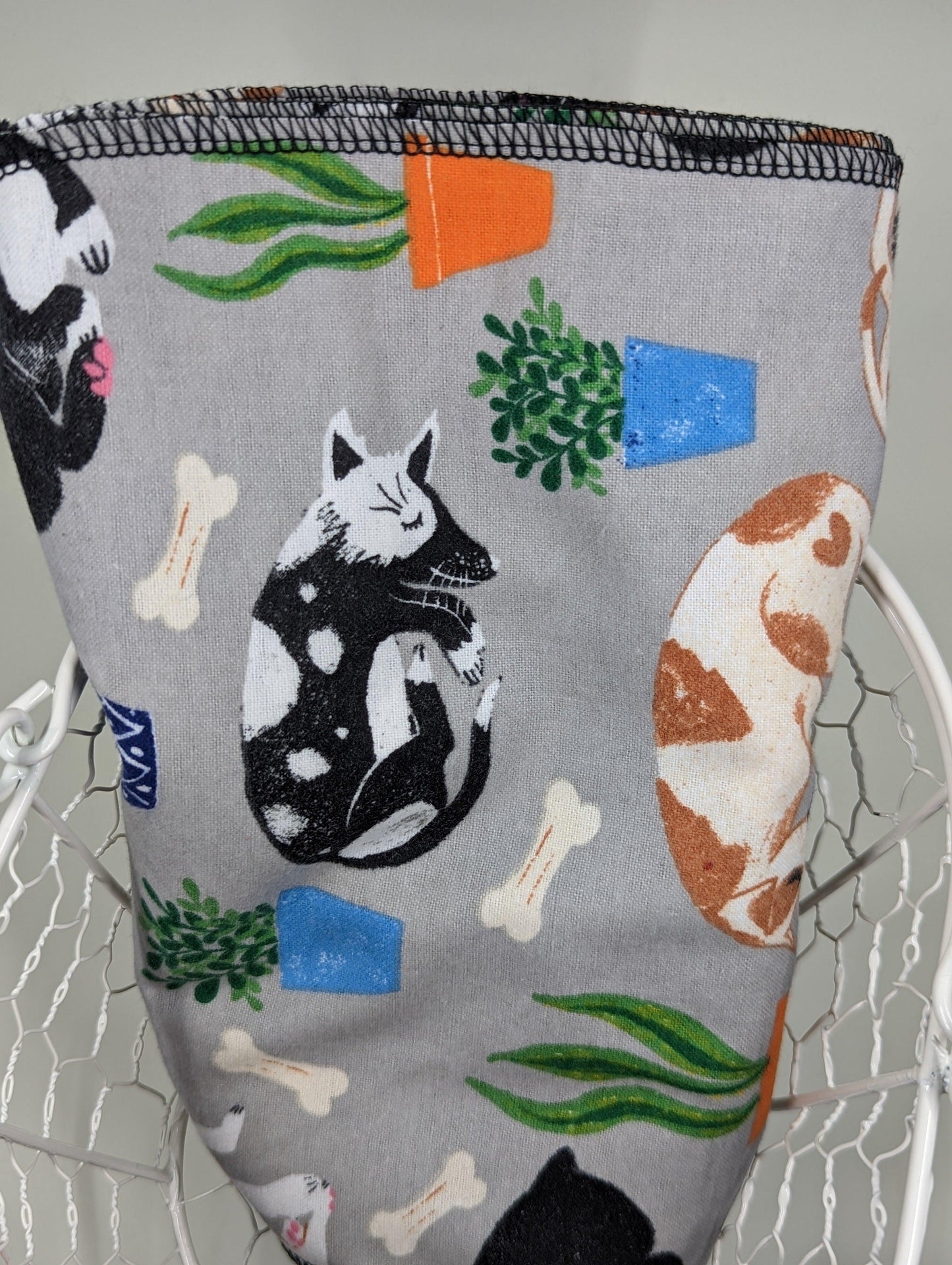 Dogs & Plants - Kinda Like